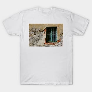 The window T-Shirt